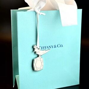 Tiffany & Co Classic Blue Shopping bag w/S/Steel “Bird on a rock” charm. NEW